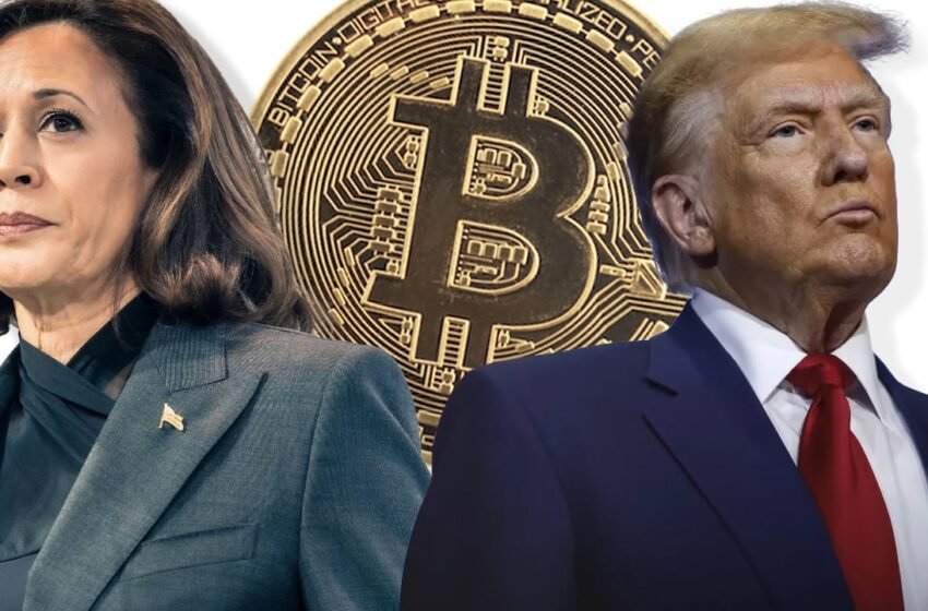  Bitcoin Poised for Big Moves: What Experts Predict Ahead of the 2024 US Election