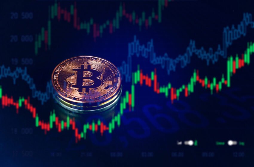  Crypto wrap: Bitcoin tops $103K; ETH, HYPE, and RENDER show bullish momentum