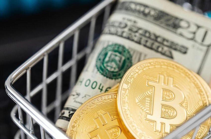  Bitcoin’s High Price Tag: Is It Alienating Retail Investors?