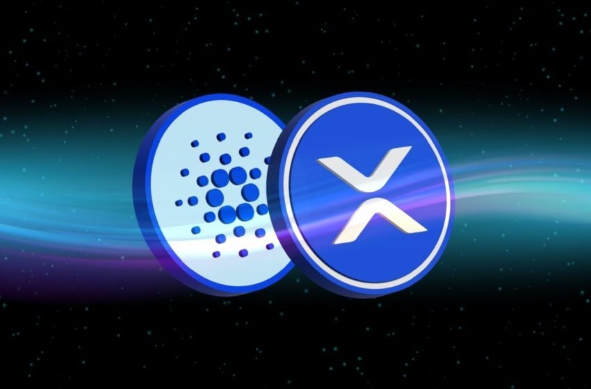  Crypto Volatility Strikes: XRP, ADA Suffer Double-Digit Losses Over 7 Days