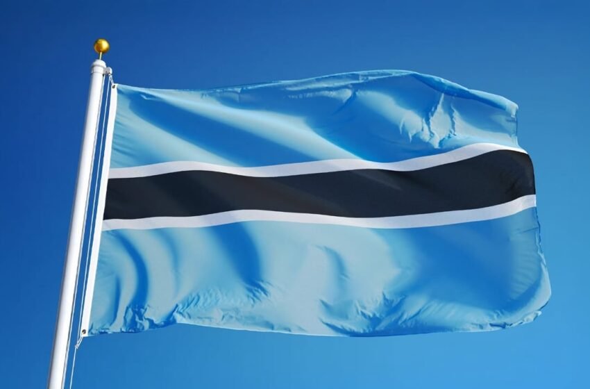  Botswana Council: Virtual Assets Market ‘Poses Limited Risks to Financial Stability’