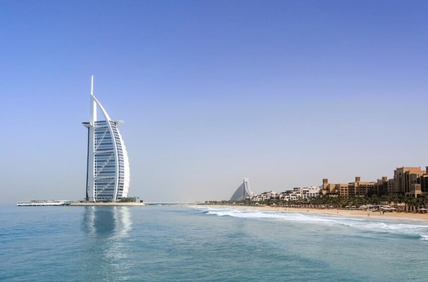  Dubai’s SEE Institute and Cardano Foundation Collaborate to Advance Blockchain-Powered Sustainability