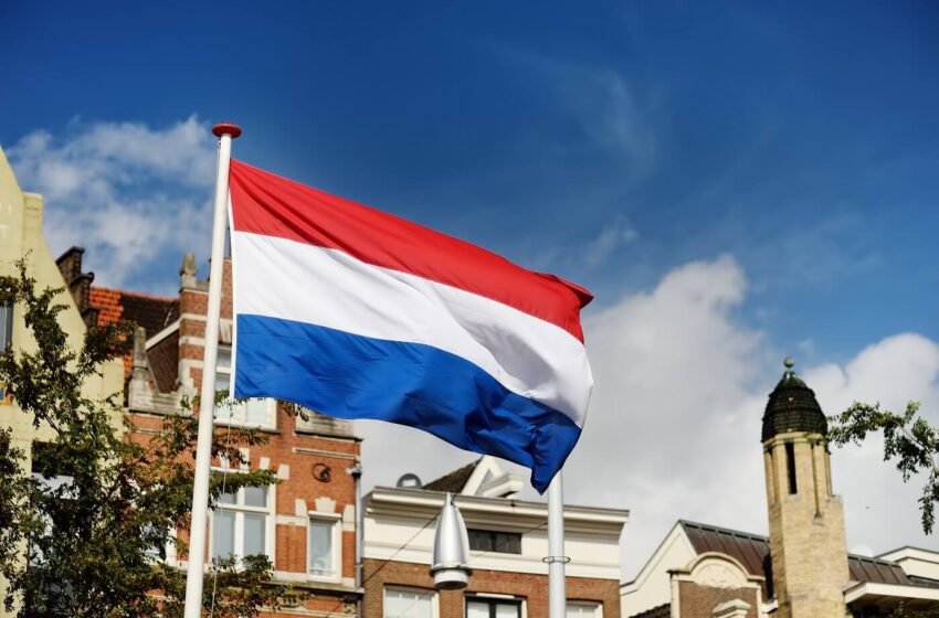  MoonPay secures MiCA license in Netherlands