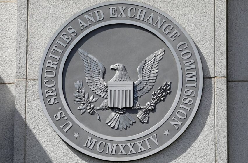  SEC Crypto Litigation Releases: November 2024