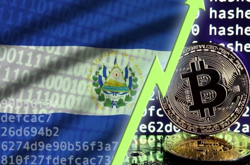  President Bukele Gets the Last Laugh: Over $300 Million in Unrealized Bitcoin Gains