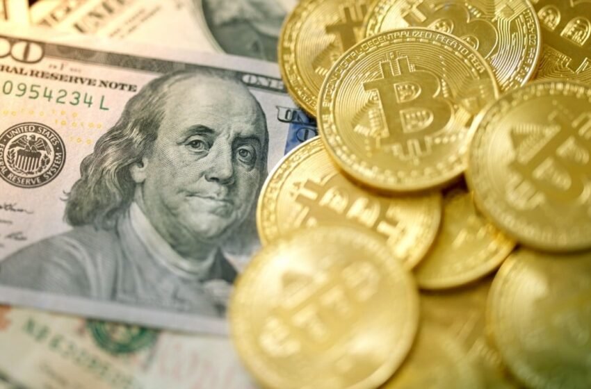 Trump Effect: Bitcoin ETFs Attract $10 Billion Inflows Since Election Day