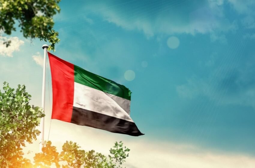  UAE Deepens Economic Ties With China and India Through BRICS Collaboration