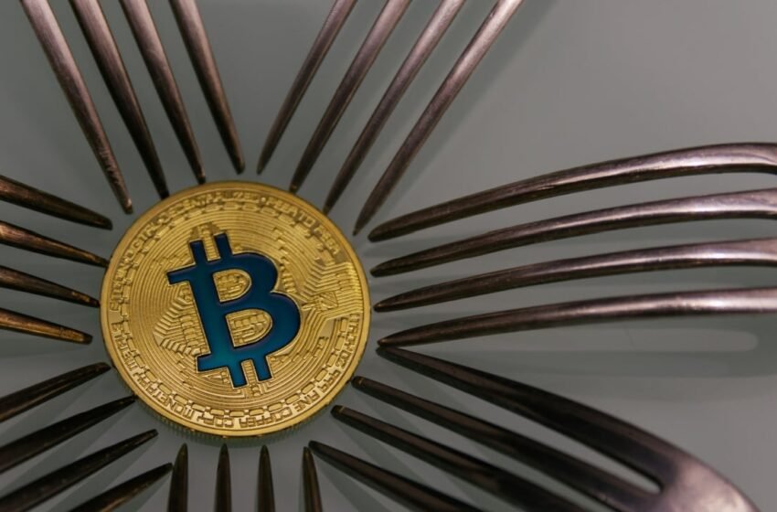  Cobra Warns of a New Bitcoin Soft Fork Next Year