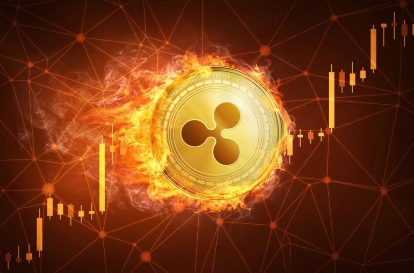  Ripple Exec Warns of RLUSD Supply Shortages, Advises Against FOMO Buying