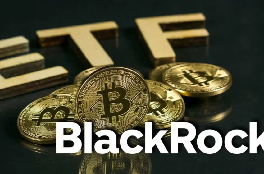  BlackRock’s Bitcoin ETF Achieves Unprecedented Growth in 2024