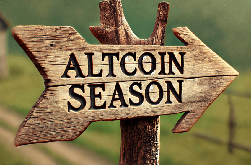  Altcoin Season Looms as Bitcoin Dominance Declines, Says QCP Capital