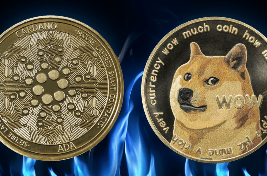  ADA and DOGE Dominate as Crypto Economy Reaches $3.48T Ahead of Weekend