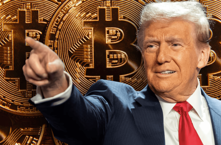  Market Frenzy: Bitcoin Hits $100,715 Amid Trump Policy Buzz