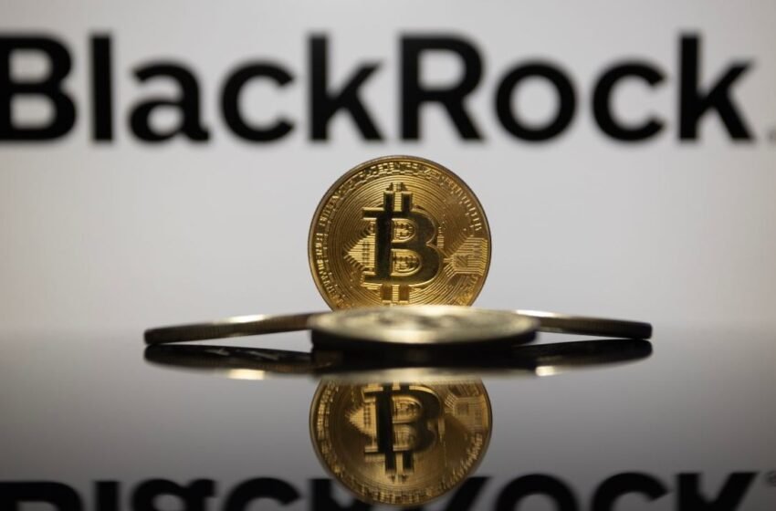  Blackrock: Bitcoin Adoption Surpasses Internet and Mobile Phones