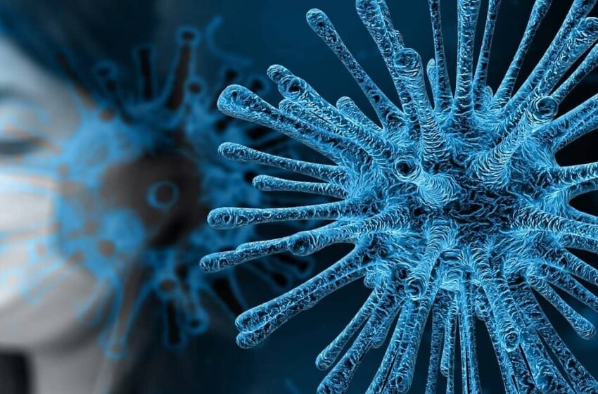  HMPV virus 2025 latest update: India ramps up surveillance as cases hit seven, experts urge China to share data