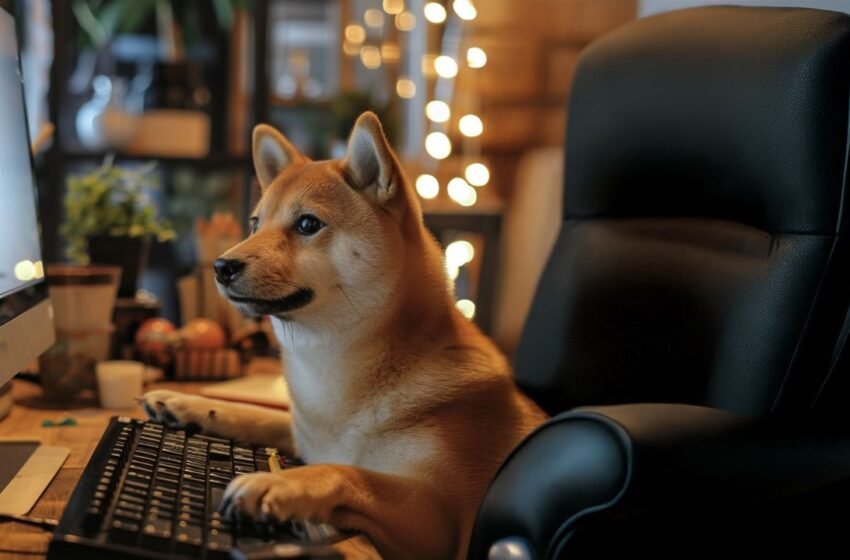  Dogecoin Dives Into Treasury Strategy: Spirit Blockchain Capital Targets Yield on DOGE Holdings