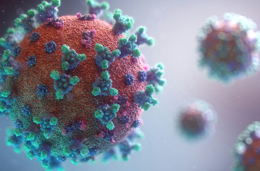  HMPV virus spreads outside China: are we staring at another pandemic?