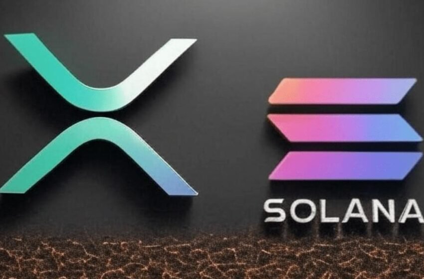  XRP, Solana Prices Soar as Investors Stack Solaxy Ahead of Next Bull Cycle