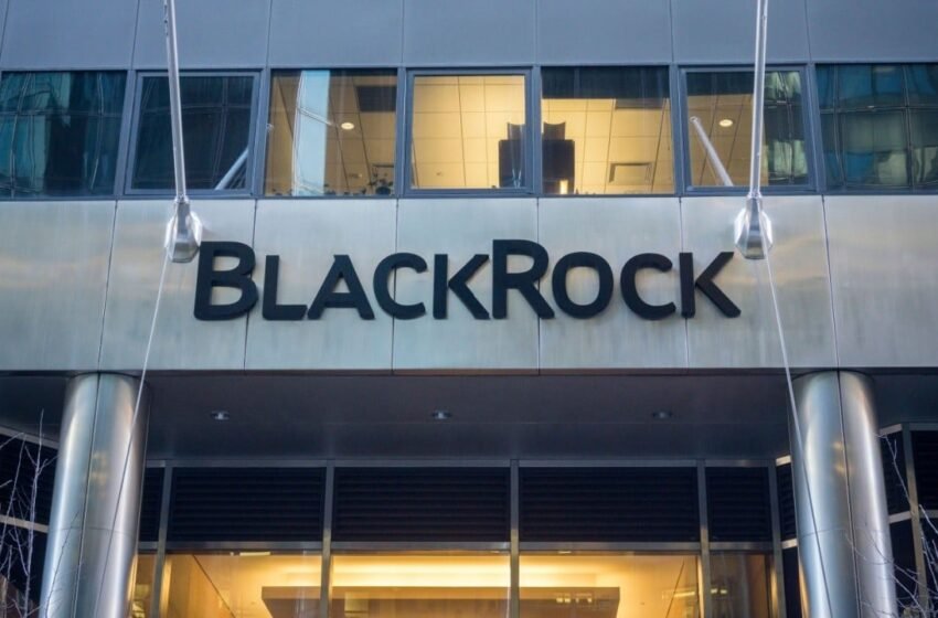  Blackrock CEO Larry Fink Believes Bitcoin Could Reach $700K