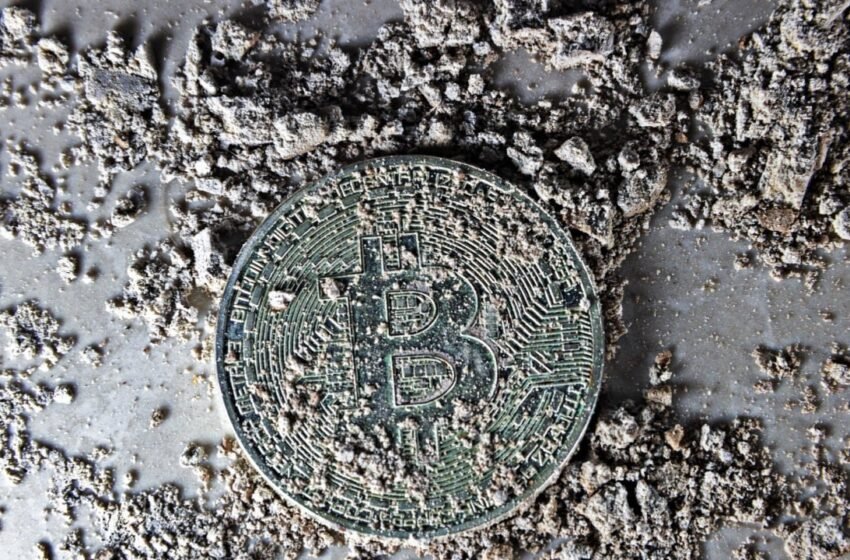 Dust Worth Millions: Coinbase Executive Identifies Ross Ulbricht-Linked Wallets Containing 430 Bitcoin