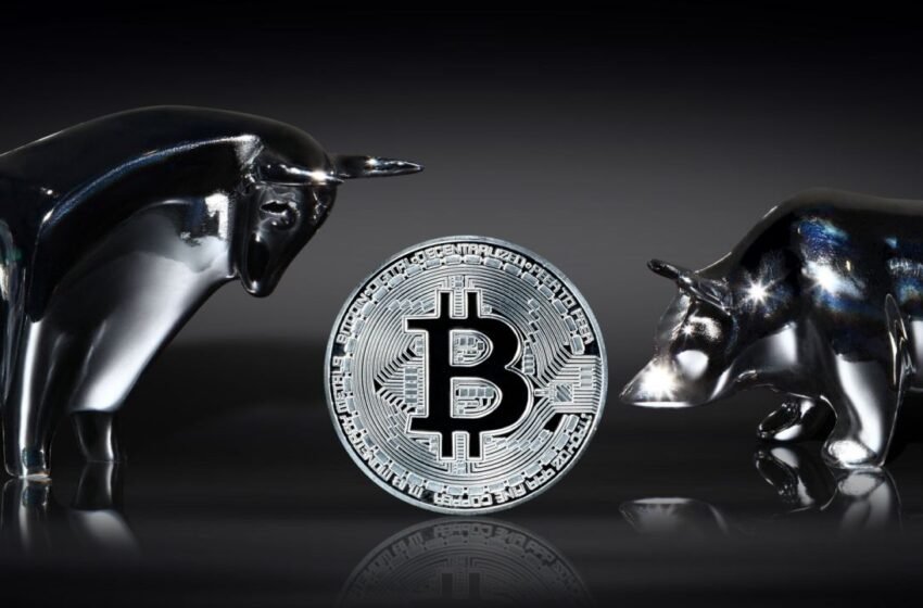  Will Deepseek’s Rise Send Bitcoin Price Spiraling Lower? Expert Weighs In