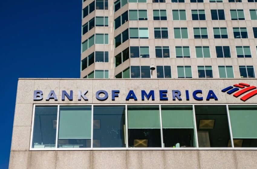  Bank of America CEO Foresees Crypto Payment Boom With Clear Rules