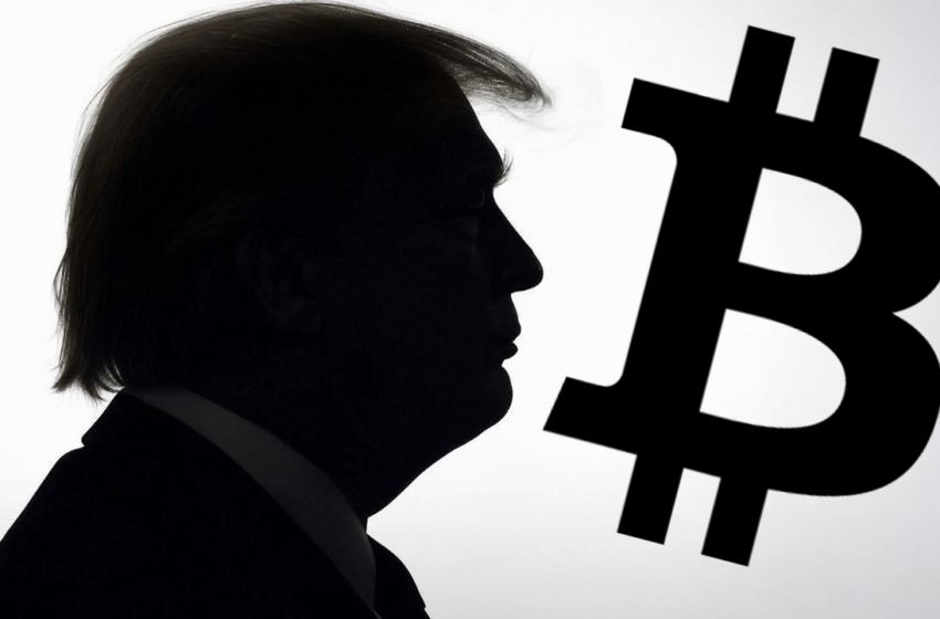  BTC Breaks $105K: Is the ‘Trump Pump’ or Institutional Adoption Fueling a $3.63T Crypto Economy?