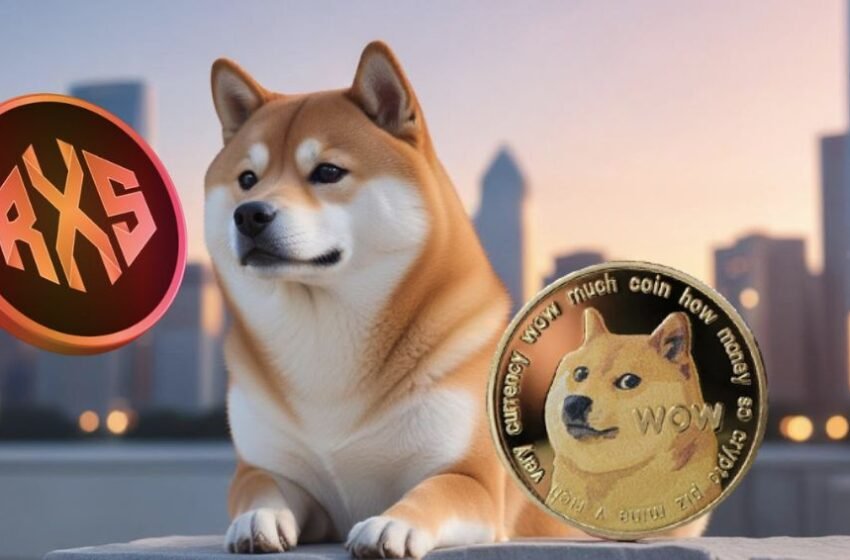  Dogecoin whale transactions drop 70%—what does it mean for DOGE price?