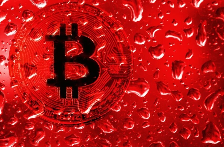  Bitcoin Price Analysis: Blood in the Water or the Perfect Buy Opportunity?