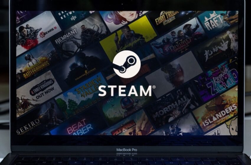 Steam Kicks out Pirate Game for Stealing Crypto Wallets