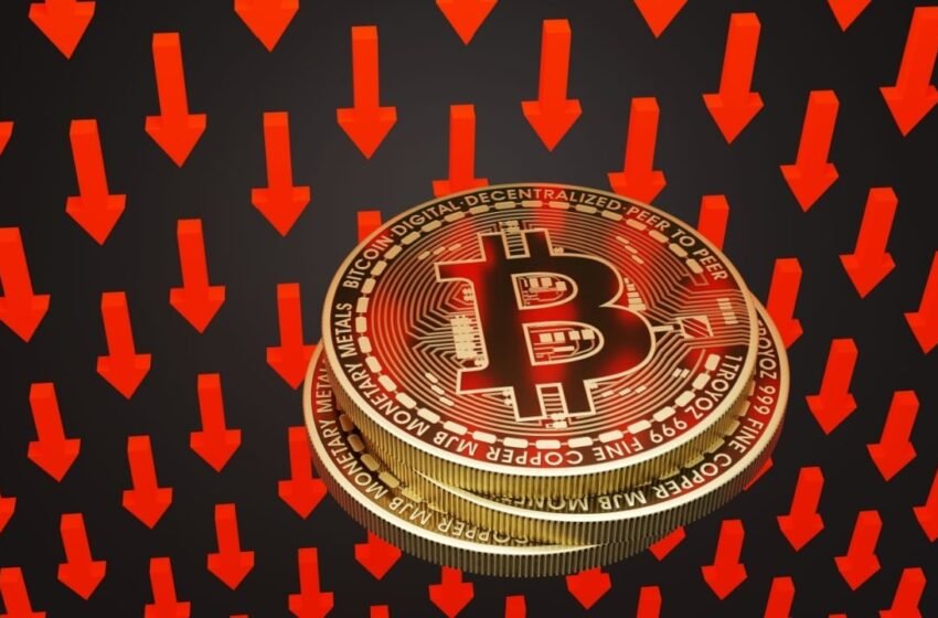  Bitcoin ETFs Experience Record $1 Billion Single Day Outflow