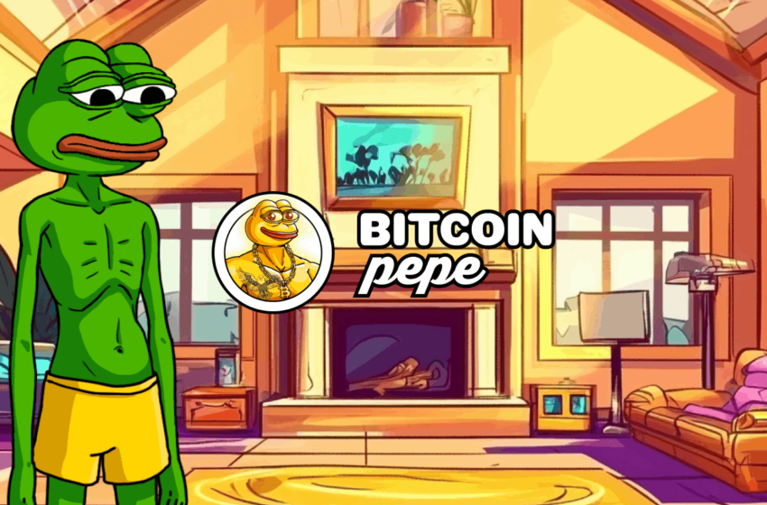  PEP-20’s “Memes on Bitcoin” Raise Hits $2.8m in 10 Days