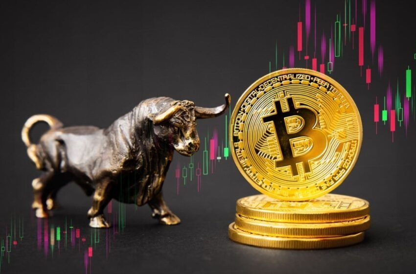  Bitcoin’s Path to $1.5M: Ark Invest’s Ultra-Bullish BTC Roadmap