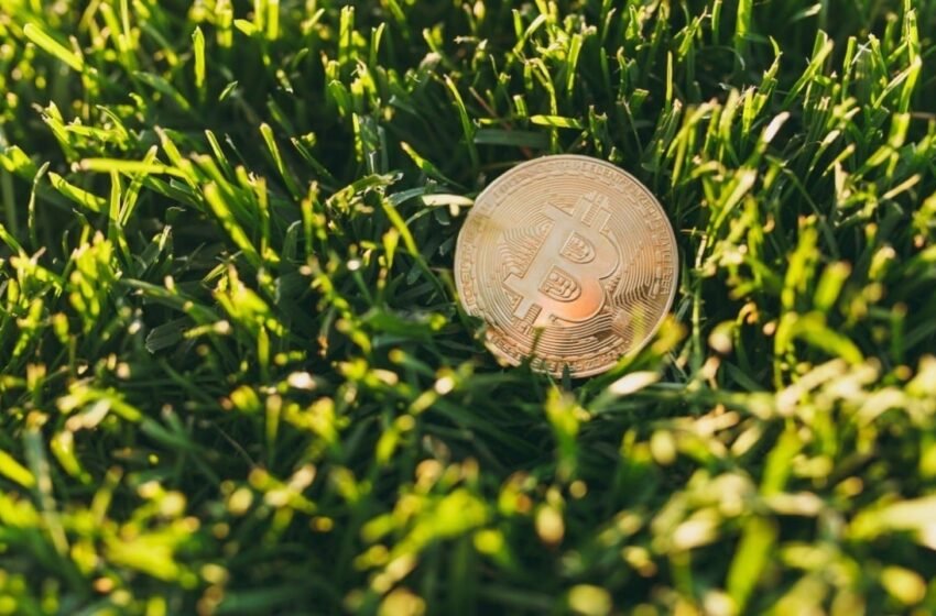  Exhausted? Hodl BTC and Touch Grass