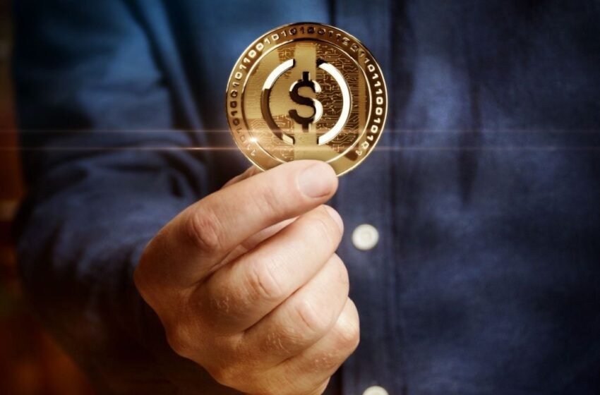  Plasma Secures $20 Million to Launch Bitcoin-Based Blockchain for Zero-Fee Stablecoin Transactions