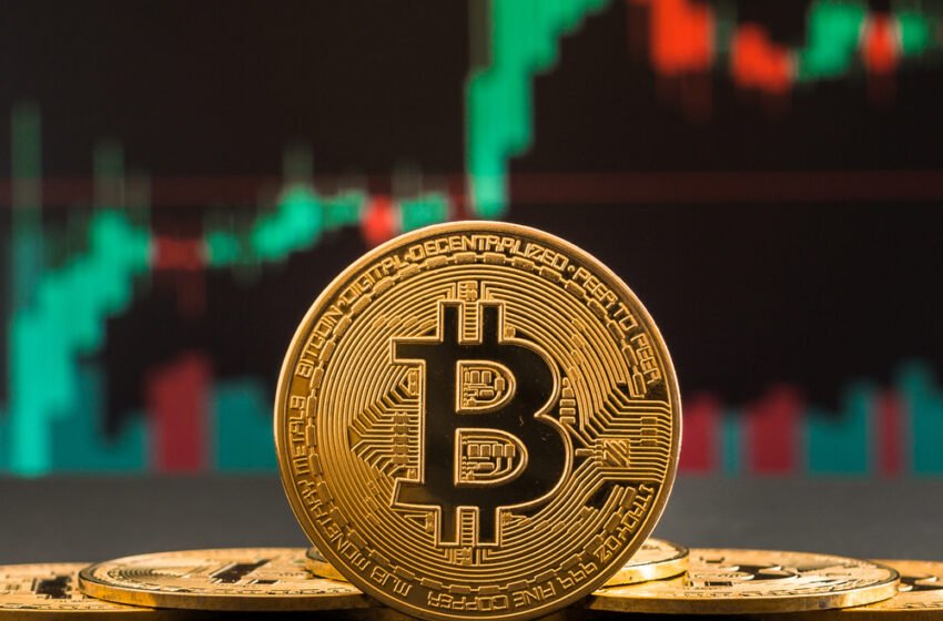  Bitcoin ETF investors hold strong despite a 25% BTC price drop: Here’s why