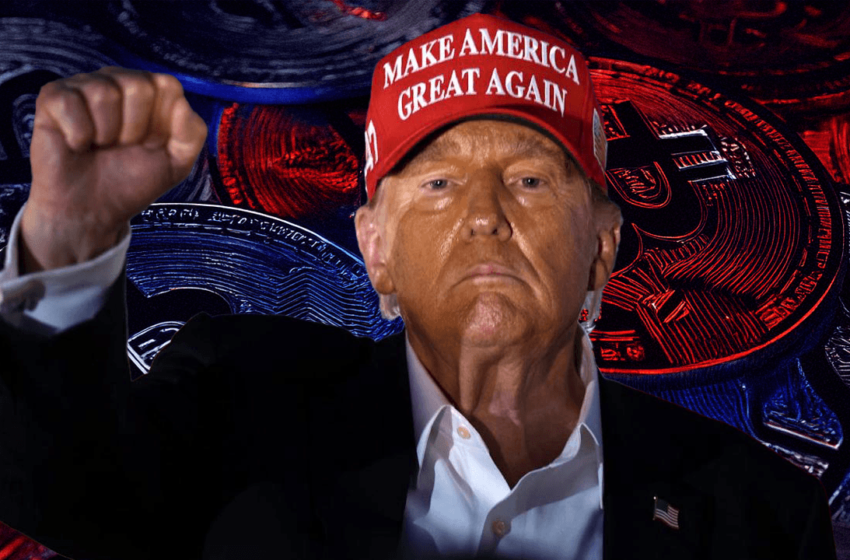  From $95K Bitcoin to ADA’s 65% Rally: Trump’s Influence Sparks Wave of Short Liquidations