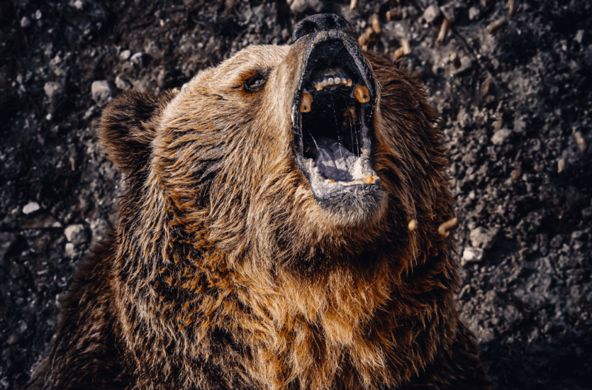 Bitcoin Price Watch: BTC’s Next Move Hinges on $83.5K Support Amid Low Demand
