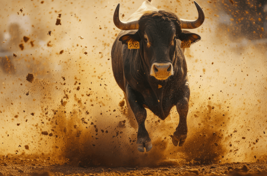  Bitcoin Bulls Roar: $43M in Short Positions Liquidated in 4 Hours