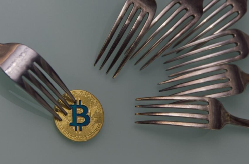  Corbin Fraser Sets Record Straight on Bitcoin Cash’s Origin