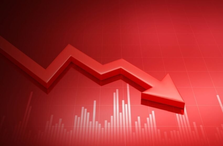  Ark Invest’s Cathie Woods Warns About Meme Coin Mania
