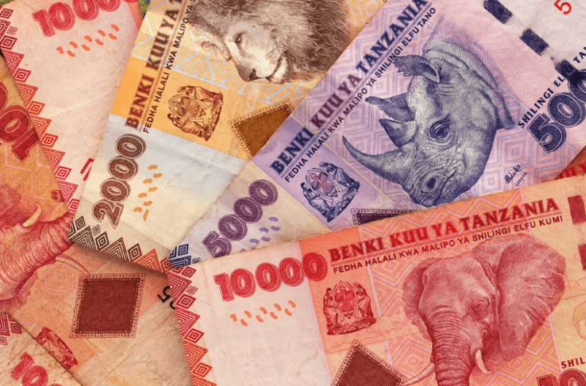  Tanzanian Shilling’s 8.9% YTD Drop Earns It World’s Worst-Performing Currency Status
