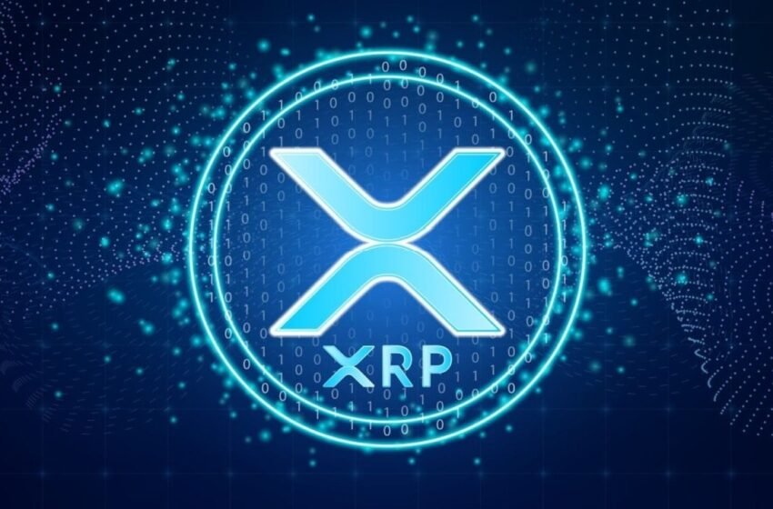  Peter Schiff Rips Into US XRP Reserve—Asks ‘What’s So Special About XRP?’