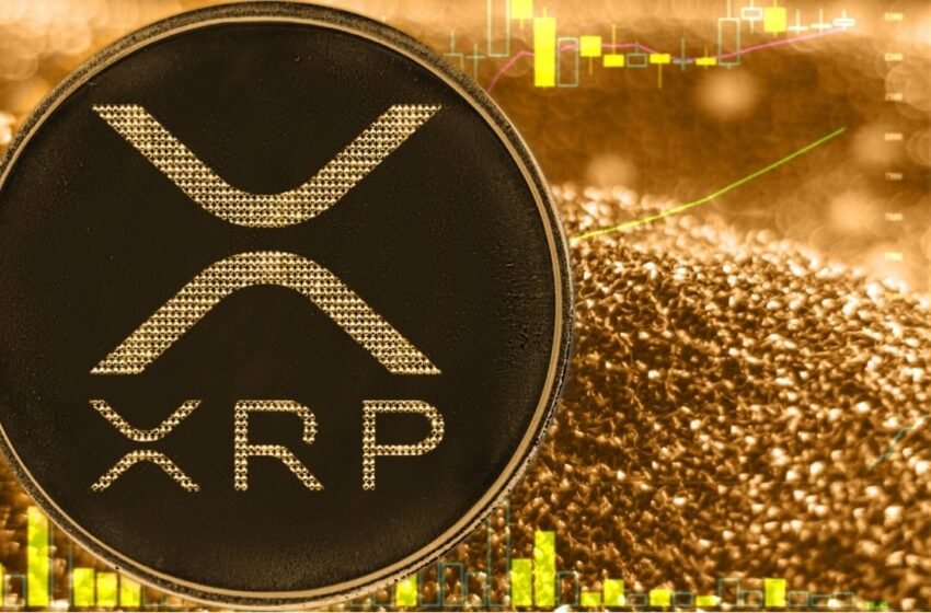  Ripple CEO Confident XRP Poised for US Crypto Stockpile and ETF Approval