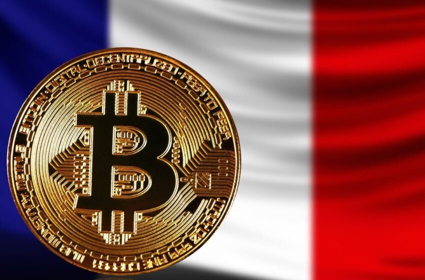  French Bitcoin Treasury Leader Snaps up 580 BTC, Delivers Record 709.8% Yield