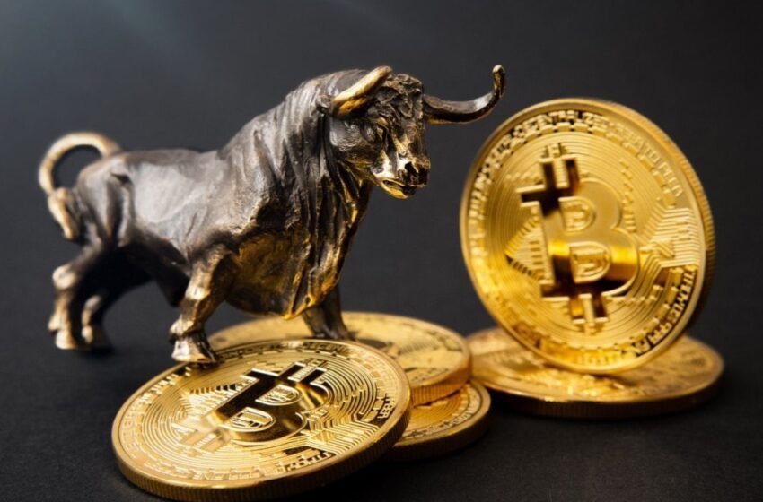  Truflation: Inflation Movements Predict Upcoming Bitcoin Rally