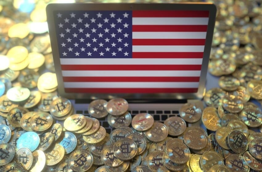  Calls to Audit US Crypto Holdings Rise After Strategic Crypto Reserve Announcement