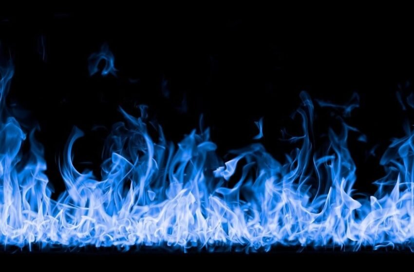  Venice Burns One Third of Total Token Supply