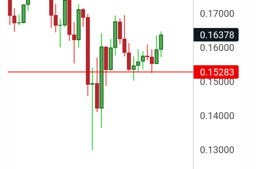  Dogecoin price outlook as Bitcoin approaches $100K