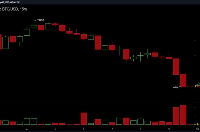  Bitcoin Plummets Below $75,000, Hits Intraday Low of $74,637 Amid Market Turmoil